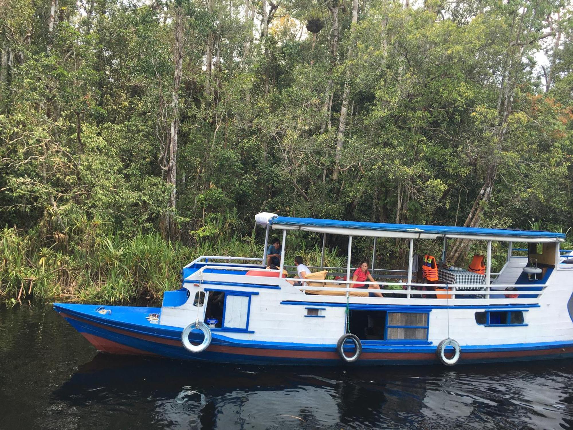 Orangutan Shaka Houseboat With Cabin Pangkalan Bun Exterior photo