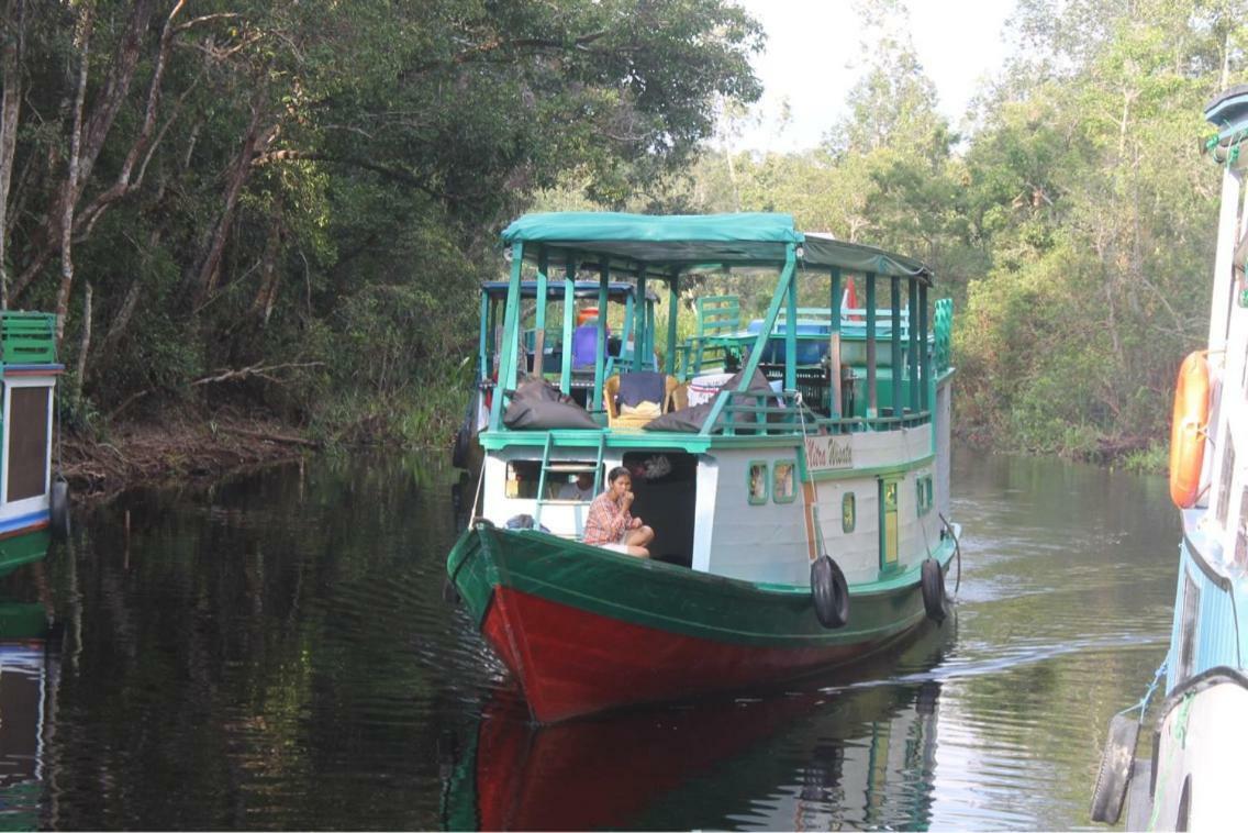 Orangutan Shaka Houseboat With Cabin Pangkalan Bun Exterior photo