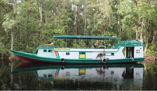 Orangutan Shaka Houseboat With Cabin Pangkalan Bun Exterior photo