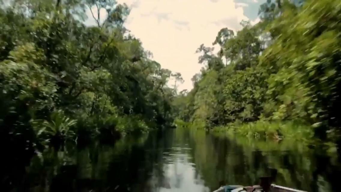 Orangutan Shaka Houseboat With Cabin Pangkalan Bun Exterior photo
