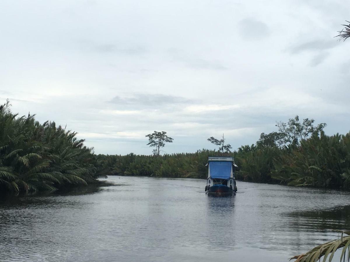 Orangutan Shaka Houseboat With Cabin Pangkalan Bun Exterior photo