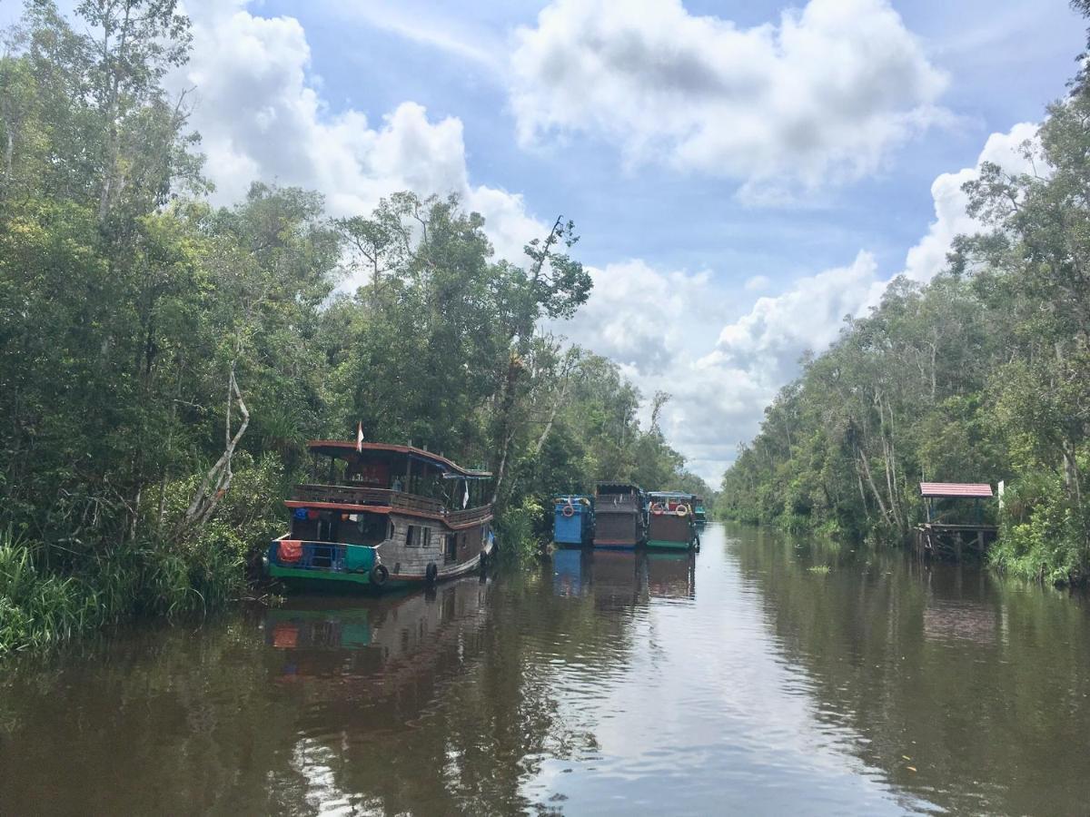 Orangutan Shaka Houseboat With Cabin Pangkalan Bun Exterior photo